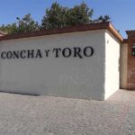 Viñedo Concha y Toro