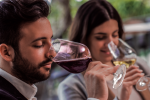 Viñedo Concha y Toro - Imagen 3